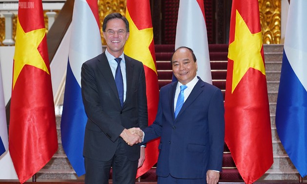 越南-荷兰关系的新里程碑