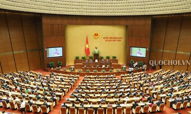 越南国会讨论《干部、公务员法修正案（草案）》