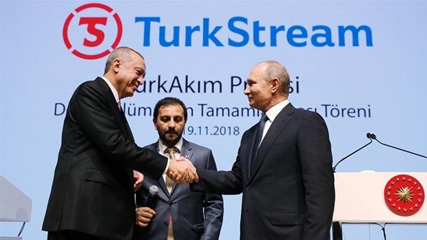 俄土领导人出席“土耳其溪”天然气管道启用仪式