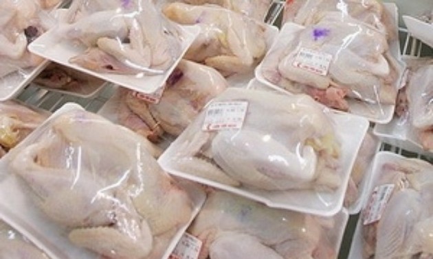 越南向俄罗斯出口鸡肉及其制品
