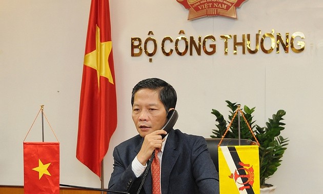 越南与文莱为早日重启两国商业航线作出努力