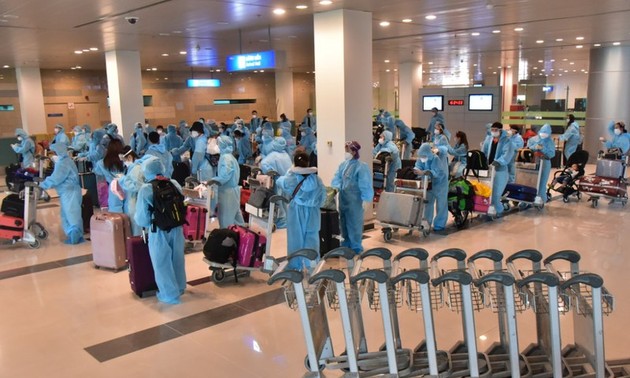 越南将在新加坡的240余名公民接回国