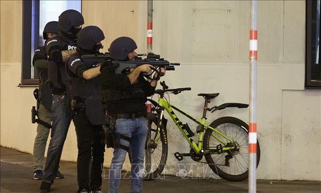奥地利枪击案：“伊斯兰国”宣称负责