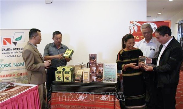 发展高品质越南咖啡产品