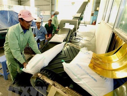 按照《越英自贸协定》出口英国的越南首批60吨大米正式上市