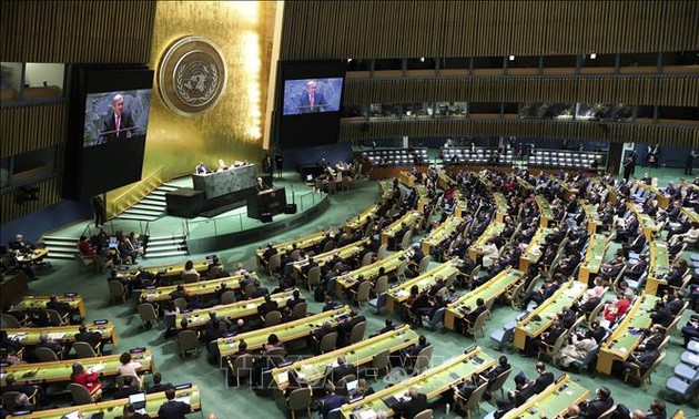 阿富汗驻联合国代表团退出联大会议发言