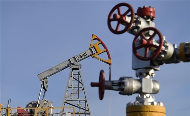 日本禁止进口俄罗斯超最高限价原油，但不包括“萨哈林2号”项目原油