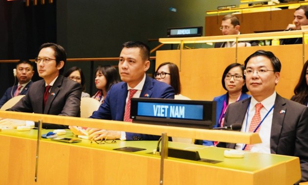 越南确立作为国际社会重要伙伴的地位
