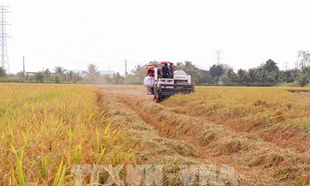 第四次可持续粮食系统计划全球会议将在越南河内举办