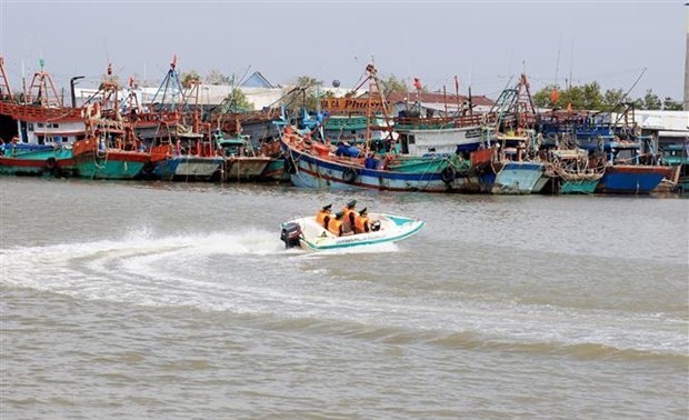 越南政府总理指导集中采取紧急措施  打击非法捕鱼