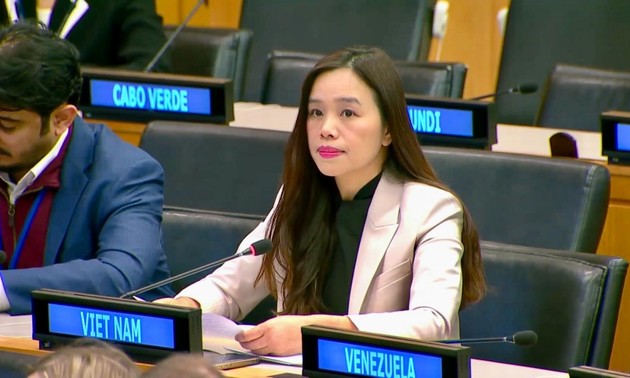 越南强调《联合国宪章》的价值和原则是国际法的基础