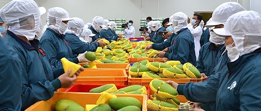 越南是世界15大农产品出口国之一
