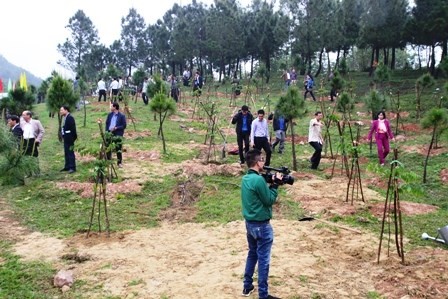 Thua Thien-Hue: des arbres plantés pour le printemps