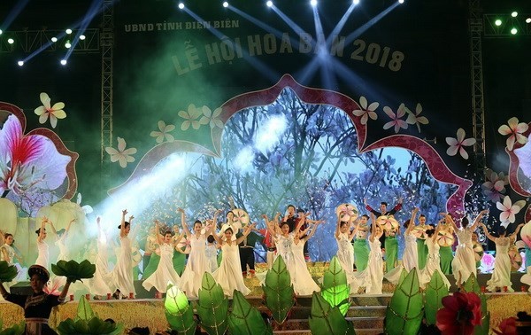 La fête des fleurs de beauhinie exalte les valeurs culturelles traditionnelles