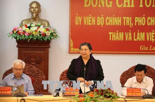 La vice-présidente de l’Assemblée nationale Tong Thi Phong à Gia Lai