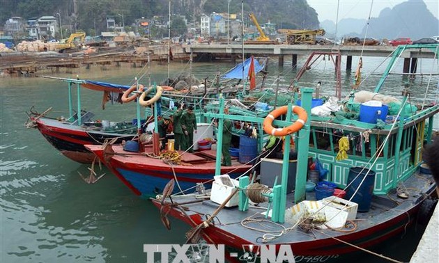 Interdiction de la pêche dans la baie d’Halong à partir du 1er octobre 