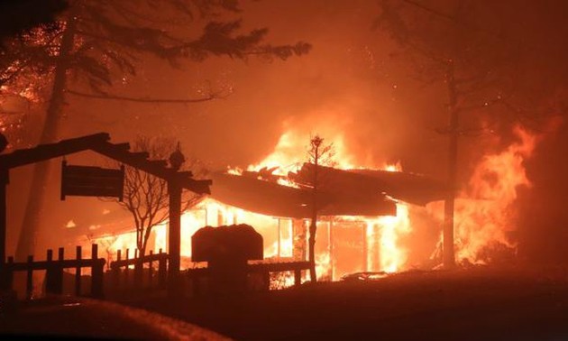 Incendies dans le Gangwon: l'état de «catastrophe nationale» décrété en République de Corée