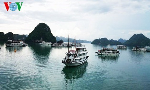 A la recherche de solutions pour traiter les eaux usées dans la baie d’Ha Long