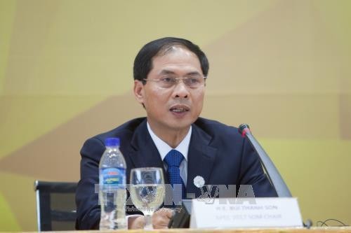   Bùi Thanh Son: Le Vietnam contribue au règlement des problématiques urgentes 