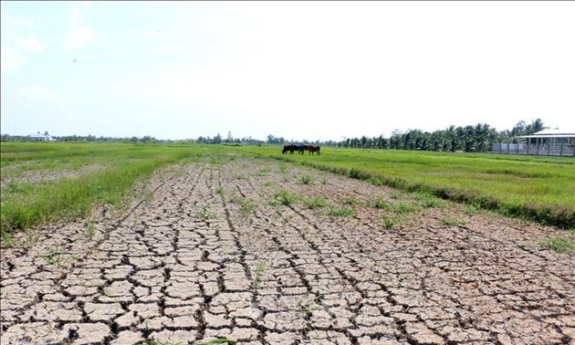 Sécheresse et salinisation dans le delta du Mékong : 530 milliards de dongs d’aide urgente