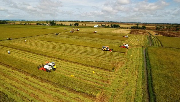 Le Vietnam ambitionne de figurer parmi les 15 premières puissances agricoles du monde