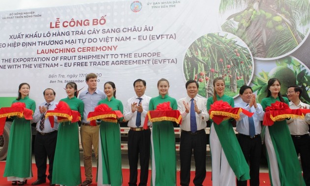 EVFTA : exportation du premier lot de fruits vietnamiens vers l'UE 