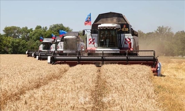 La Russie cherche des solutions pour le commerce des céréales ukrainiennes.