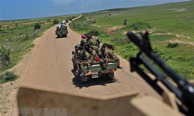 Les forces somaliennes tuent 88 militants d'al-Shabab