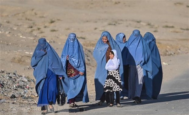 La cheffe d'ONU Femmes dénonce l'interdiction faite par les talibans aux Afghanes de travailler pour l'ONU