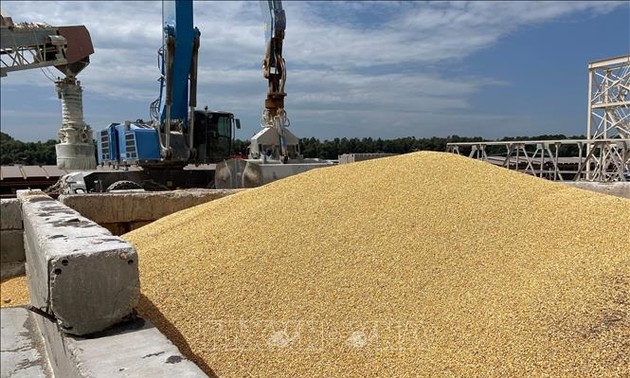 Vers une exportation de céréales ukrainiennes via le Danube