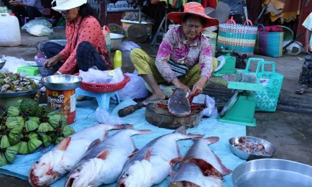 Cambodia to resume farmed fish imports from Vietnam