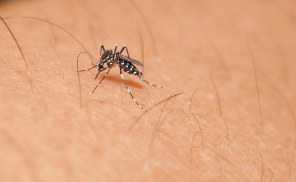 No Zika case reported in Vietnam yet
