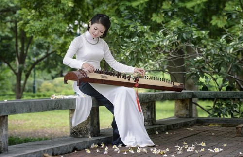 The 16-String Zither - Traditional Vietnamese Musical Instrument