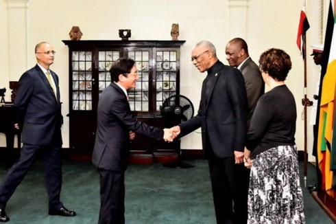 Vietnam, Guyana strengthen cooperation 