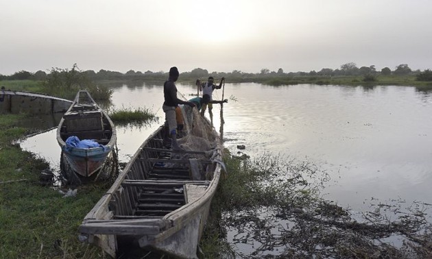 Boko Haram kill 31 fishermen in Nigeria