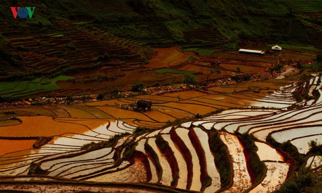 Mu Cang Chai named among world’s 50 most beautiful places to visit