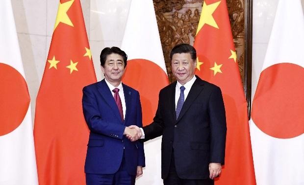 Xi Jinping: China-Japan relations facing vital development opportunities