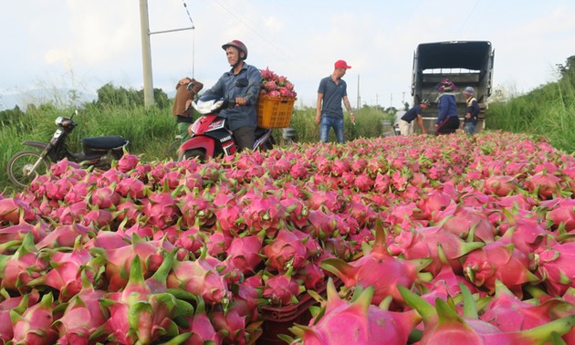 Vietnam’s agricultural, aquatic products target India