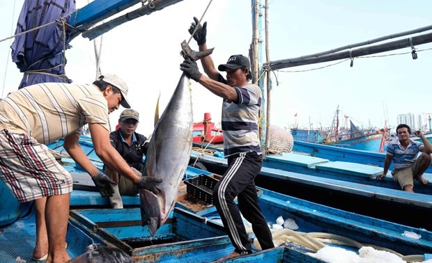 Ministry calls China’s suspension of fishing in Vietnamese waters meaningless