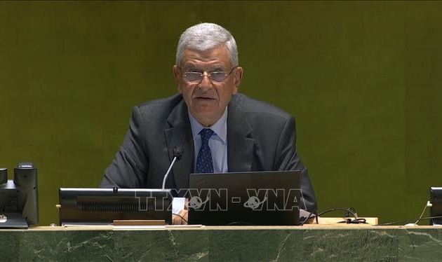 UN General Assembly president calls for Security Council reform