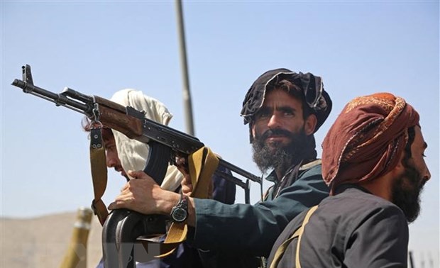 Taliban must not host terrorists again: NATO warns