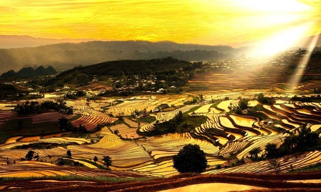 Magnificent terraced rice fields during water pouring season 