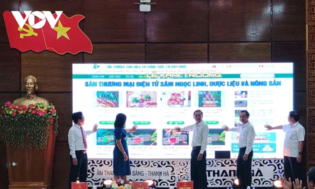 Ngoc Linh ginseng e-commerce platform launched