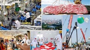Vietnamesische Wirtschaft in der ersten Hälfte des Jahres: Ein positives Signal