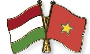 Zusammenarbeit der Rechnungshöfe Vietnams und Ungarns