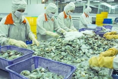 Vietnam: Überprüfungsgruppe zur Anklage gegen Garnelen-Dumpingpreis
