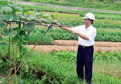 Effektivität der vierseitigen Kooperation in Quang Yen