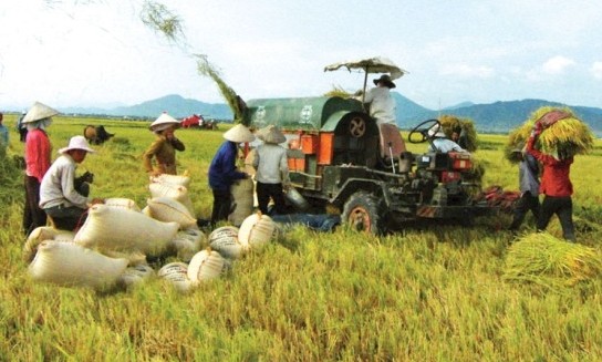 Mechanisierung bei Reisproduktion im Mekong-Delta