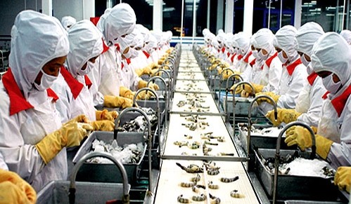 Keine wissenschaftliche Grundlage: Mexiko stellt den Import der Garnelen aus Vietnam ein
