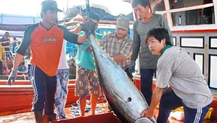 Unterstützung der Fischerei